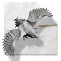 White Tissue-foil Paper