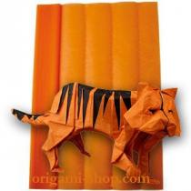 Roller Chocolate orange Tissue Paper 50x75 cm 24 sheets Maildor scrapbooking origami