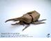 Das größte, dünnste und stärkste Origamipapier : Alios Kraft 100x100 cm (40 x 40) - 5 Blätter