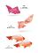 Selection of sheets for the book Ornamental Goldfish