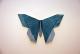 Origami Butterflies (+ DVD)