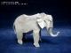 Papier aus Elefantenhaut 48x48 cm + Elefant von Shuki Kato