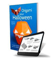 Origami pour Halloween - French Version [Ebook Edition]