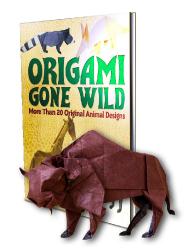 book origami cone wild montroll in english