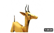 1 Double-sided Extra Large sheets Brown/Yellow 50x50 cm (20x20'') - ORIGAMI CLARK'S GAZELLE