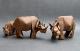 Rhinoceros - Nicolas TERRY