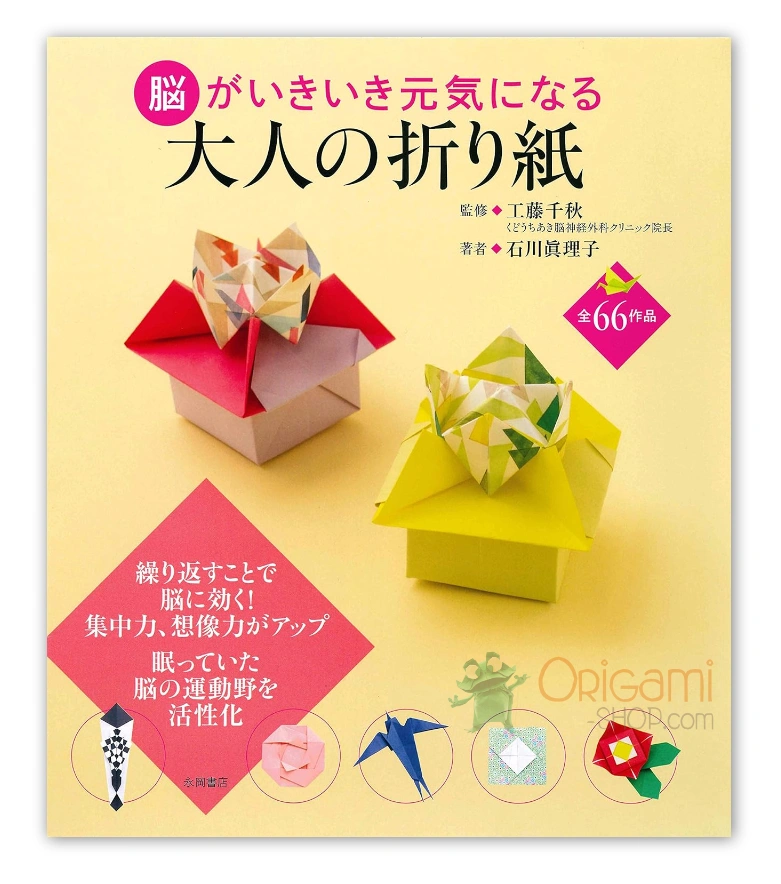 Origami for adult beginners to keep your brain active