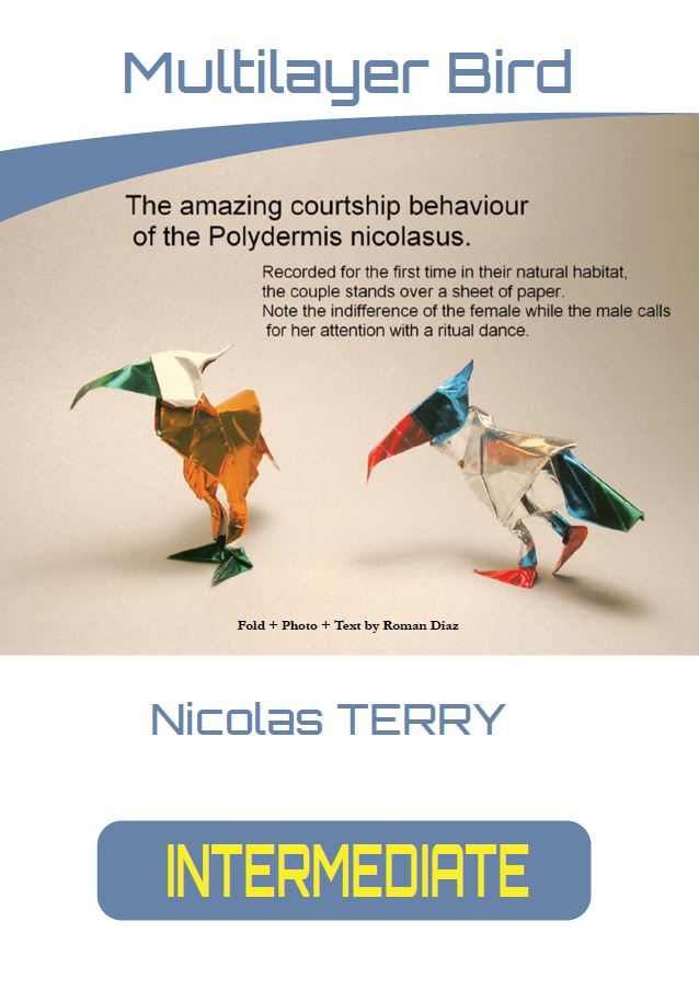 Multilayer Bird - Nicolas TERRY