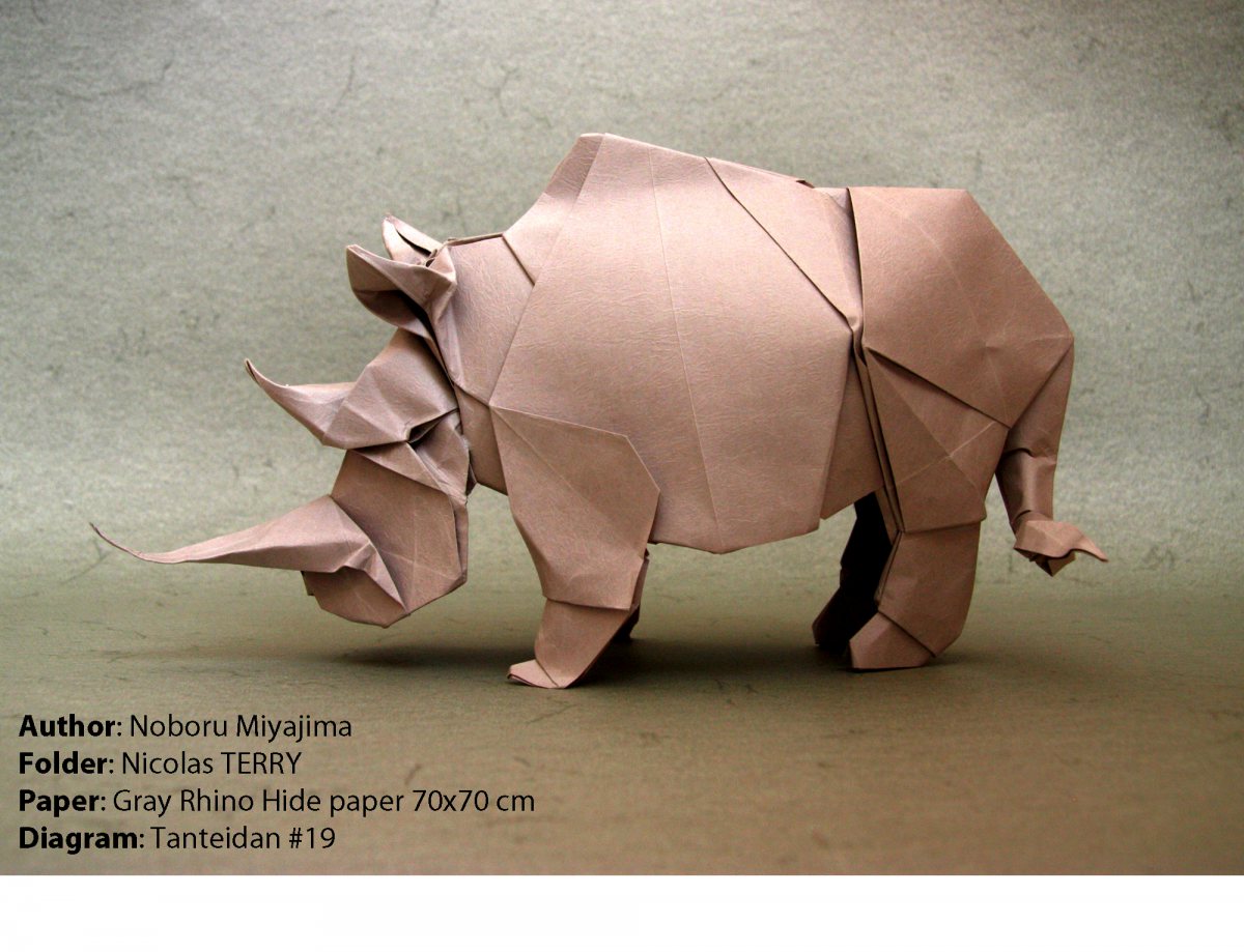 Rhino-noburu- 