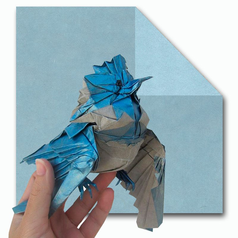 Blue Tissue-foil
