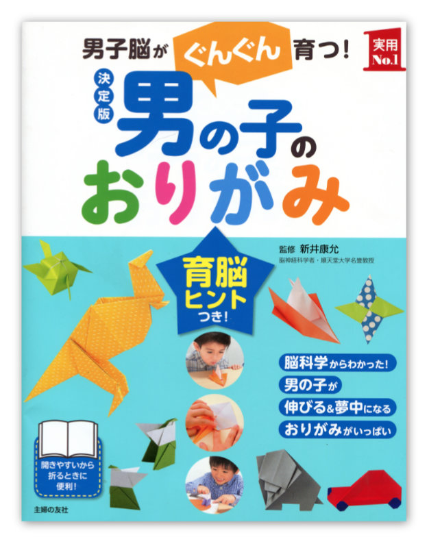 Origami for Boys