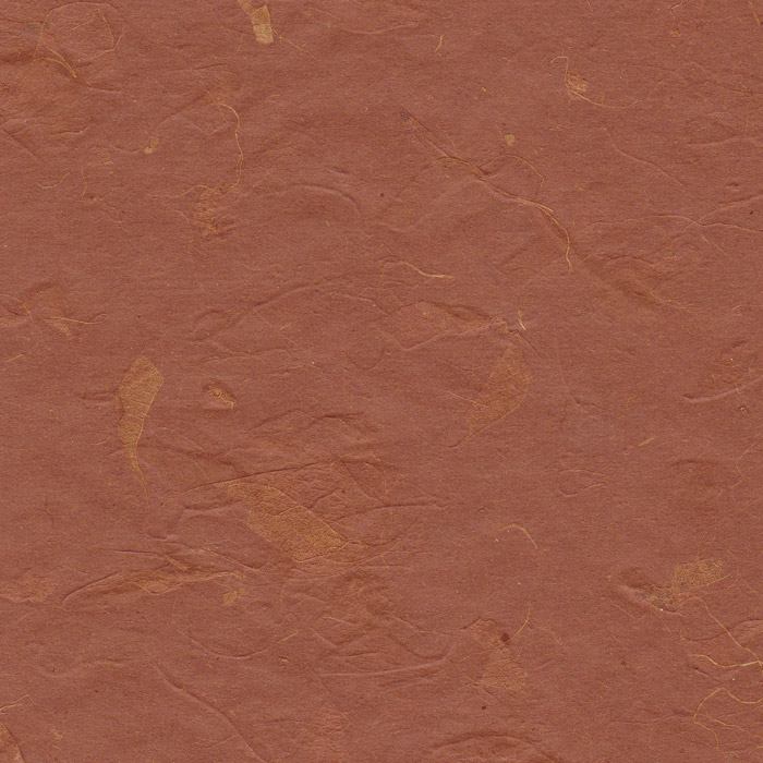 Papier de soie avec inclusion de feuilles marron