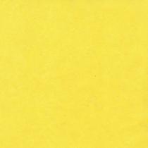 Origamido jaune toxique