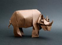 Rhinocéros - Nicolas TERRY