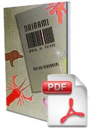 livre Artur Biernacki Origami made in Poland  Format e-book en polonais