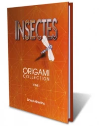 livre origami collection Insectes 1 de lionel albertino en français