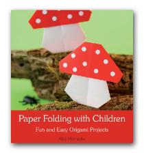 livre droles d'origamis pour les garçons
