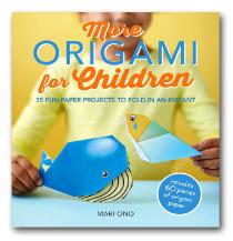 livre droles d'origamis pour les garçons