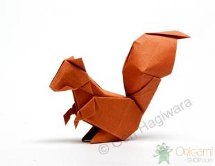 Origami Book for Beginners: A Step-by-Step Introduction to the Japanese Art  of Paper Folding for Kids & Adults (Origami Books for Beginners)