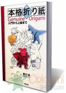 Practical Origami - Japanese paper folding book from japan - Books
