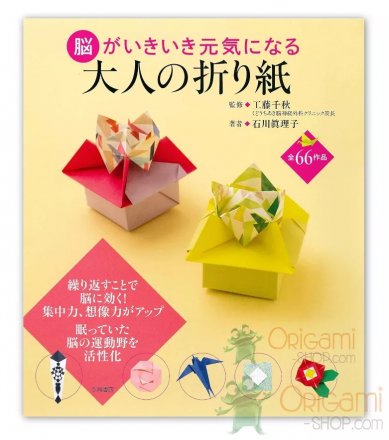 Vol 12 Vietnam Origami Group #3 - Next Steps.