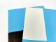 Montage Papercraft Baleine Bleue + Colle et pinceau