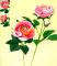 Roses et fleurs en Origami de Naomiki Sato (+ DVD)