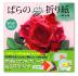 Roses en Origami de Toshikazu Kawasaki (+ DVD et papiers)